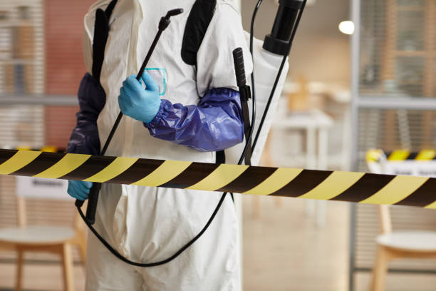 Professional Sewage Cleanup technician working in Kearsarge, NH